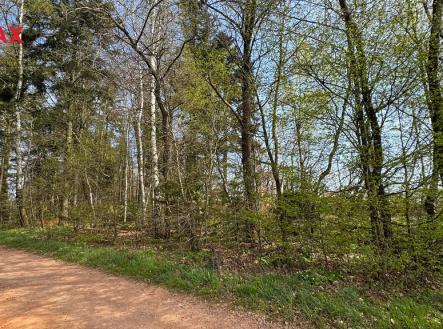 Prodej pozemku, les, 25 088 m²