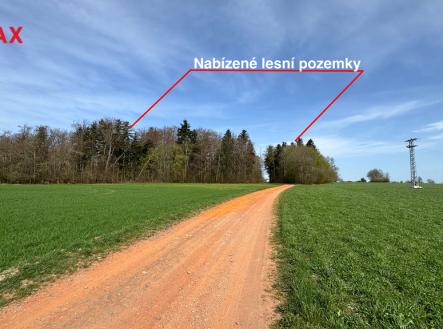 Prodej pozemku, les, 25 088 m²