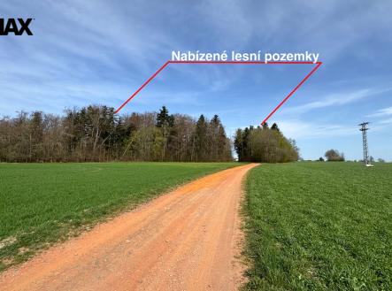 Prodej pozemku, les, 25 088 m²