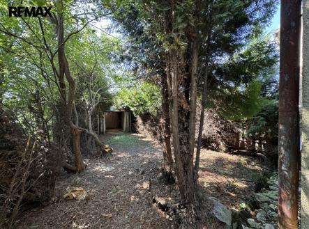 Prodej obchodní prostor, 105 m²