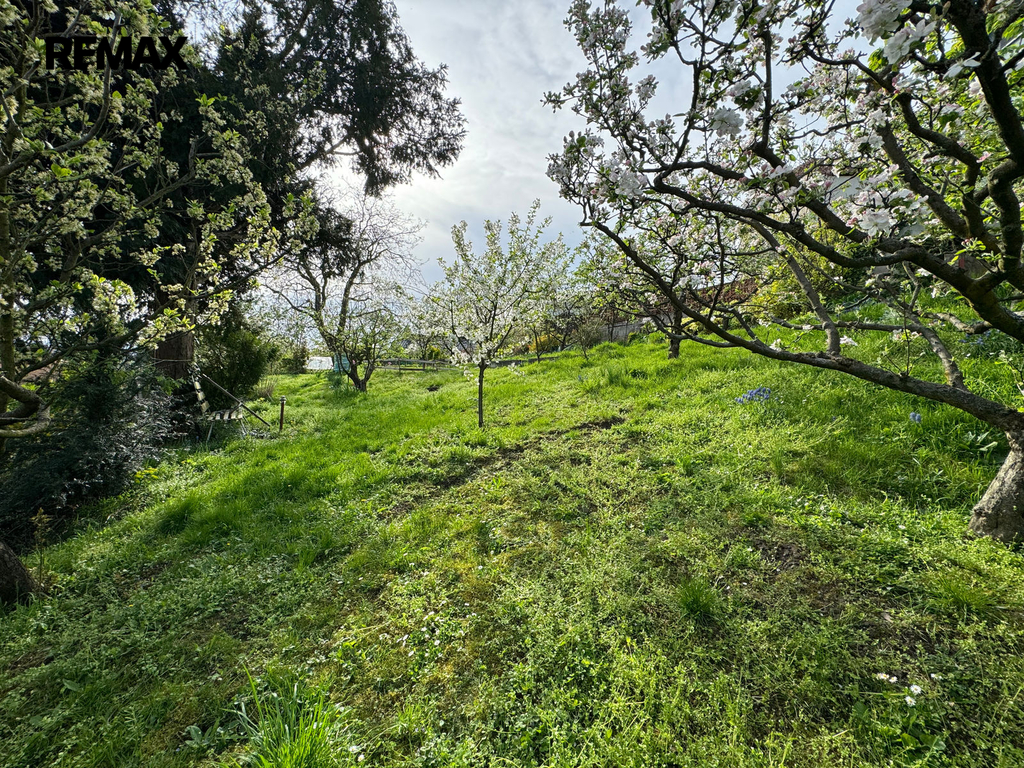 img-4940.jpg