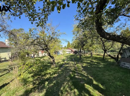 Nemovitost