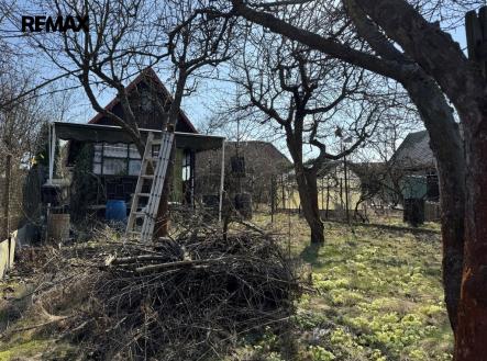 Pronájem chaty/rekreačního objektu, 30 m²