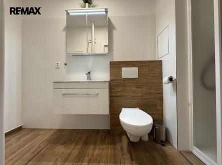 Pronájem bytu, 1+1, 41 m²