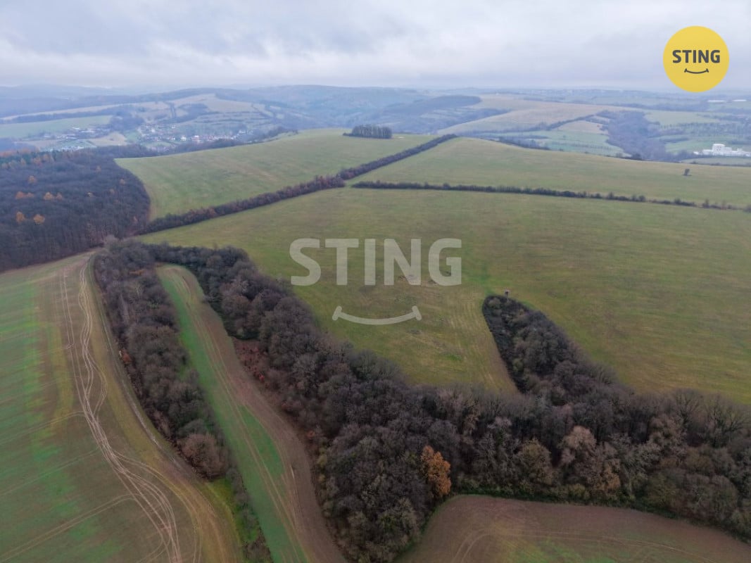DJI_20251202130825_0195_D.jpg