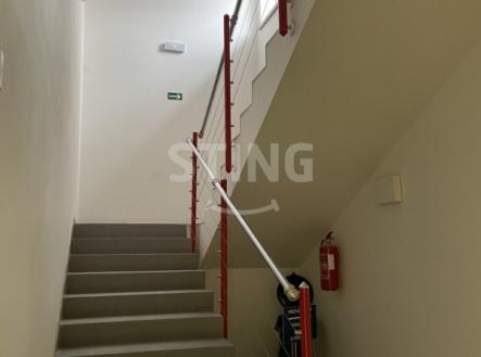 Pronájem skladovací prostor, 42 m²