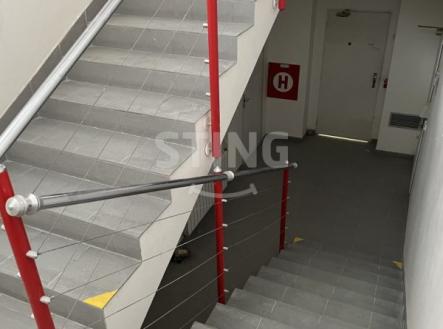 Pronájem skladovací prostor, 42 m²