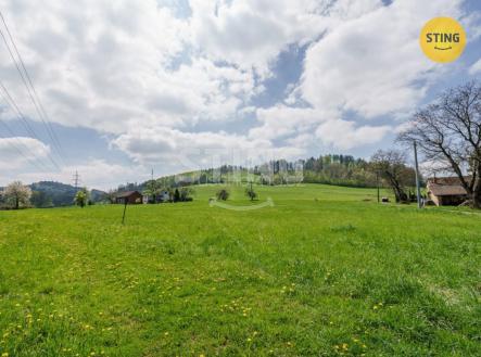 Prodej - pozemek, trvalý travní porost, 11 100 m²