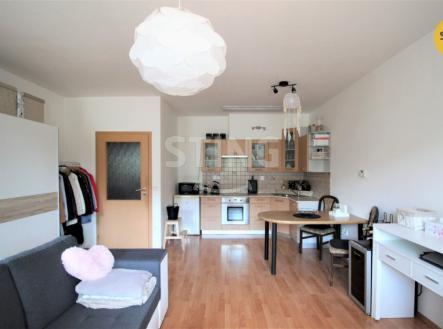 Pronájem bytu, 1+kk, 38 m²