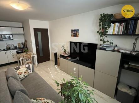 Pronájem bytu, 2+kk, 42 m²