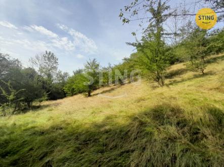 Prodej - pozemek, trvalý travní porost, 31 882 m²