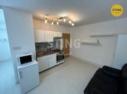 Pronájem bytu, 1+kk, 35 m²