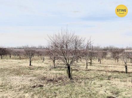 Prodej - pozemek, ostatní, 3 829 m²