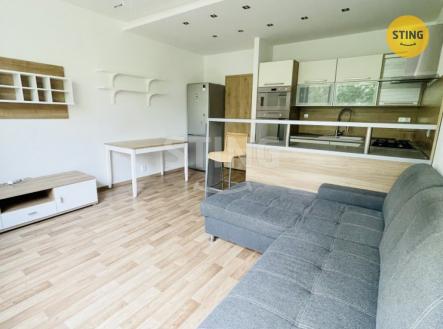 Pronájem bytu, 2+kk, 45 m²