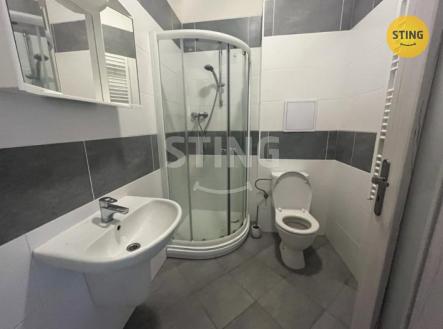 Pronájem bytu, 1+kk, 28 m²