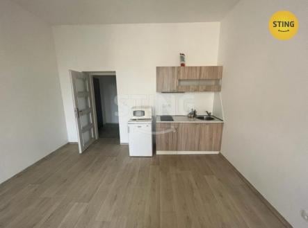 Pronájem bytu, 1+kk, 28 m²