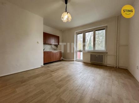 Pronájem bytu, 1+kk, 25 m²