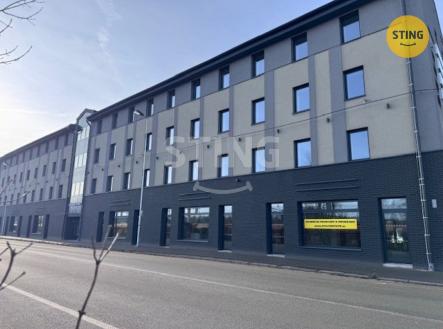 Pronájem obchodní prostor, 481 m²