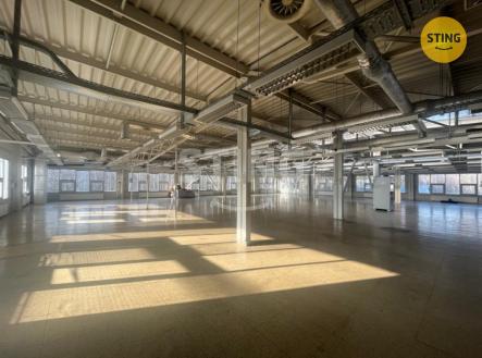 Pronájem skladovací prostor, 500 m²