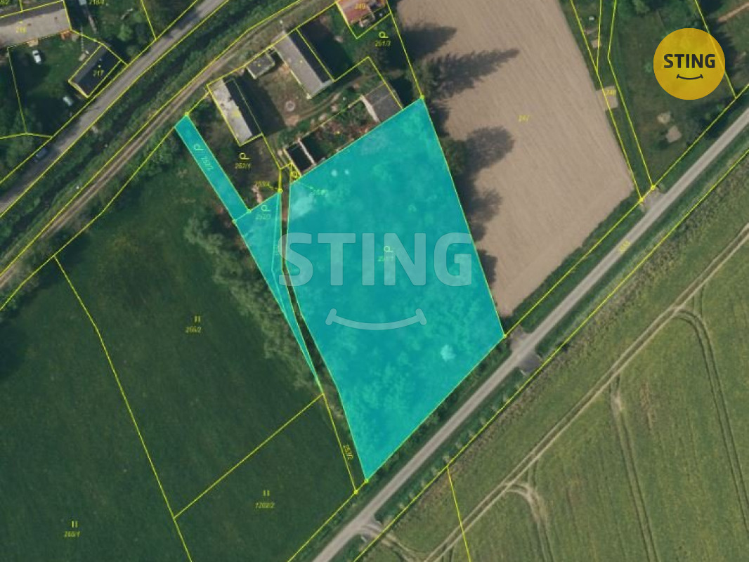 javorník pozemek.JPG