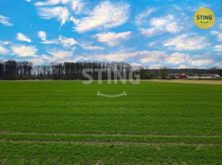 Prodej pozemku, zemědělská půda, 6 038 m²