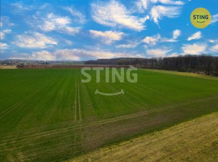 Prodej pozemku, zemědělská půda, 6 038 m²