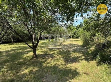 Prodej pozemku, zahrada, 3 628 m²