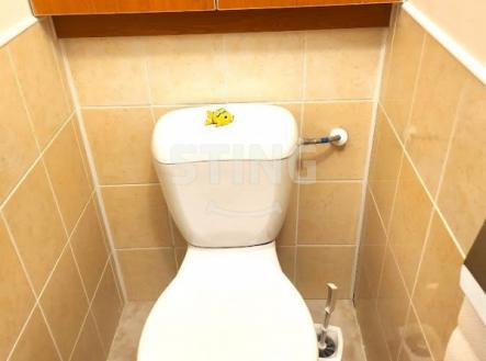 Pronájem bytu, 2+1, 45 m²