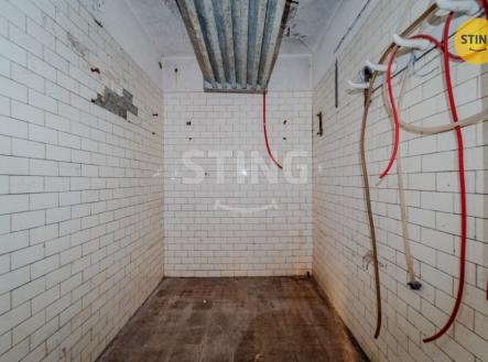 Prodej domu/vily, 497 m²