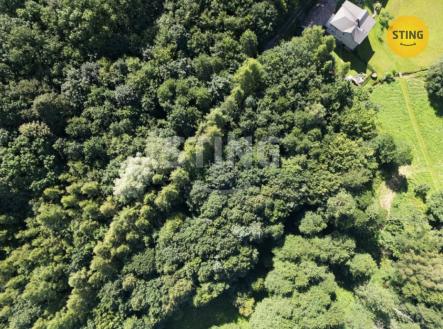 Prodej - pozemek, zahrada, 4 381 m²