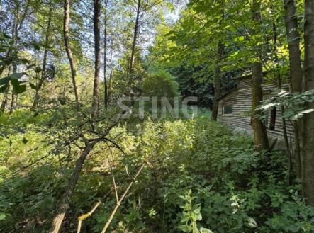 Prodej - pozemek, zahrada, 4 381 m²