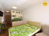 Pronájem bytu, 1+kk, 24 m²