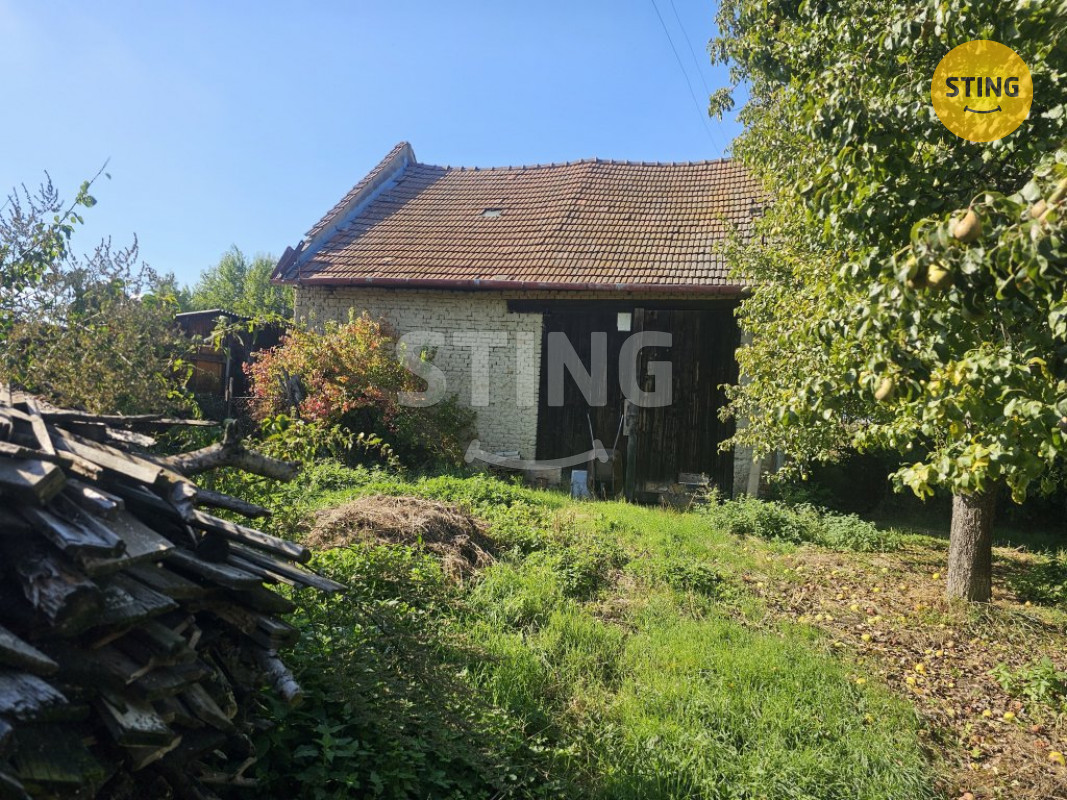 20250907_153242 (2).jpg