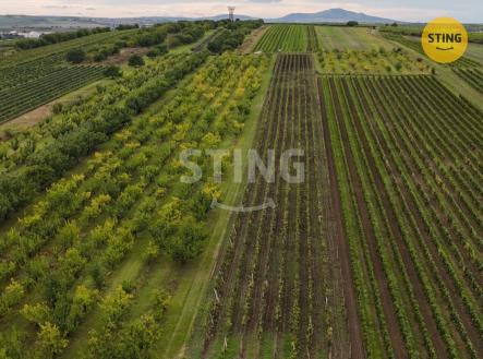 Prodej pozemku, ostatní, 5 412 m²