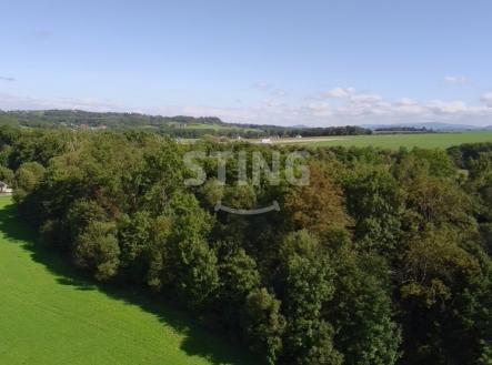 Prodej pozemku, les, 9 789 m²