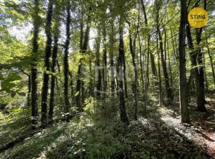 Prodej pozemku, les, 9 789 m²