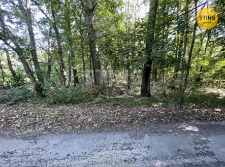 Prodej pozemku, les, 9 789 m²