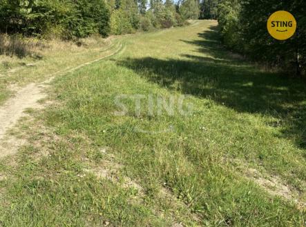 Prodej pozemku, trvalý travní porost, 8 429 m² obrázek