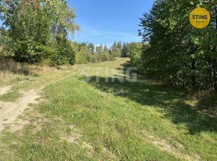 Prodej pozemku, trvalý travní porost, 8 429 m²