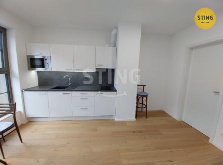 Pronájem bytu, 1+kk, 23 m²