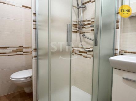 Pronájem bytu, 1+1, 32 m²