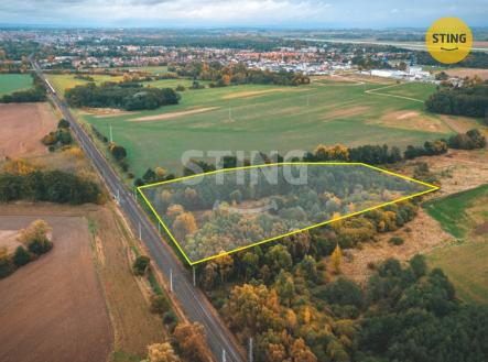 Prodej pozemku, zemědělská půda, 12 546 m²