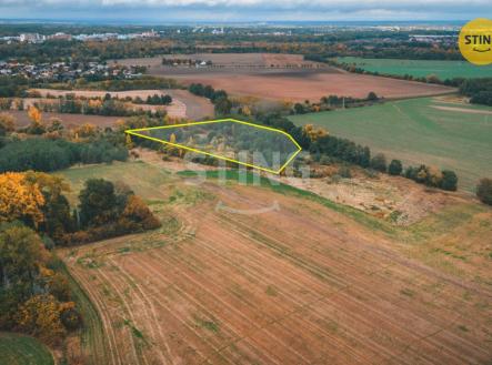 Prodej pozemku, zemědělská půda, 12 546 m²