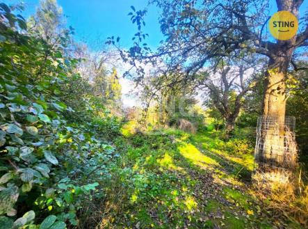 Prodej pozemku, zahrada, 2 697 m² obrázek