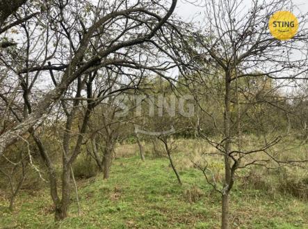 Prodej pozemku, ostatní, 4 839 m²