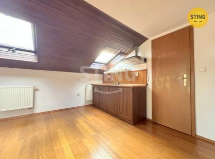 Pronájem bytu, 1+kk, 50 m²