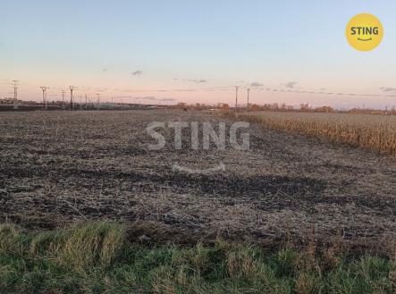 Prodej pozemku, zemědělská půda, 10 356 m²