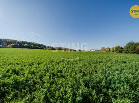 Prodej pozemku pro bydlení, 4 000 m²