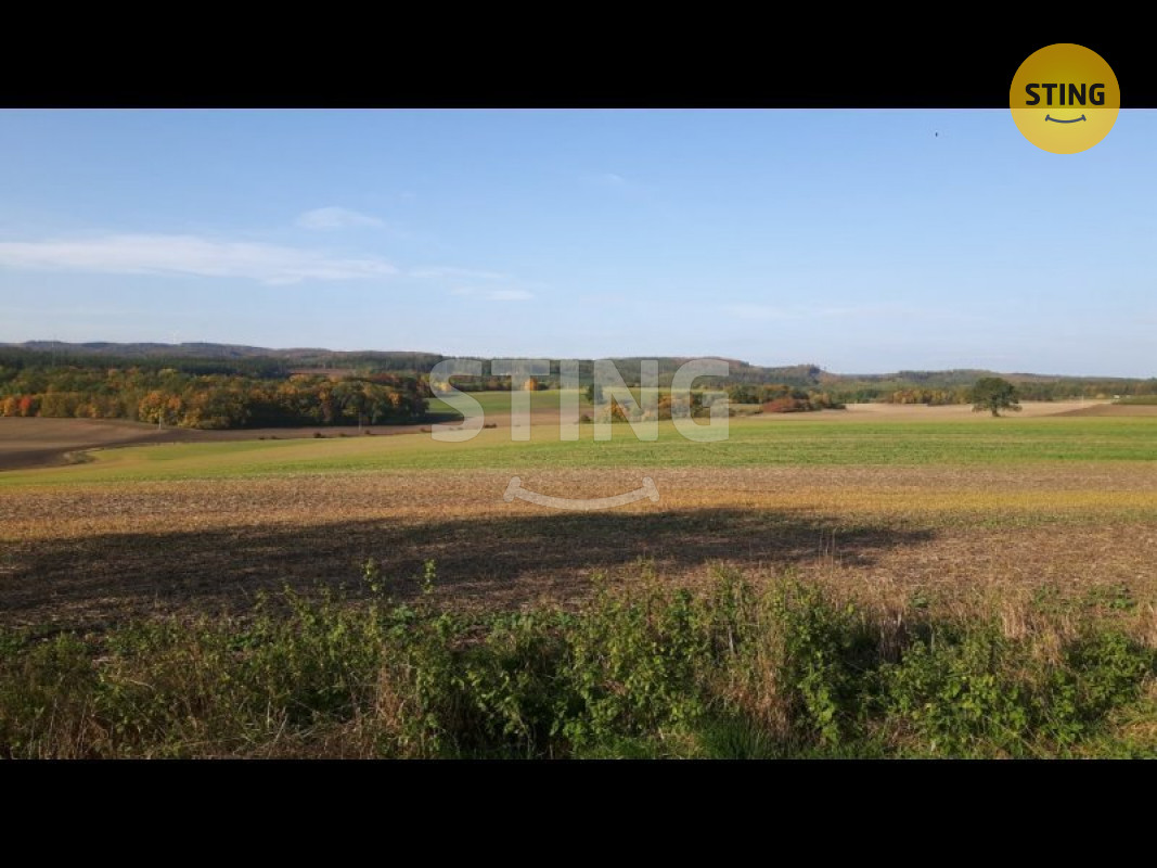 stažený soubor.jpg