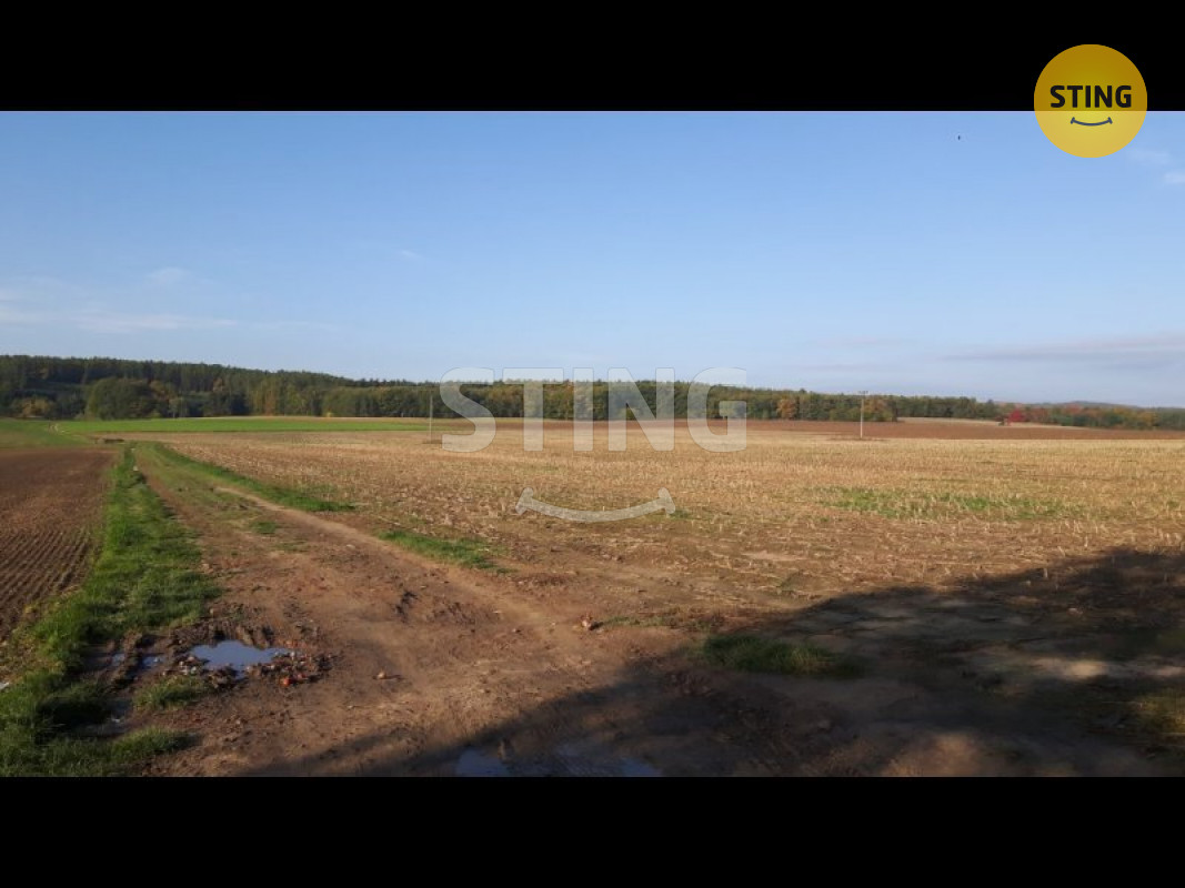 stažený soubor.jpg